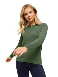 POLO CLUB Pullover In Grün